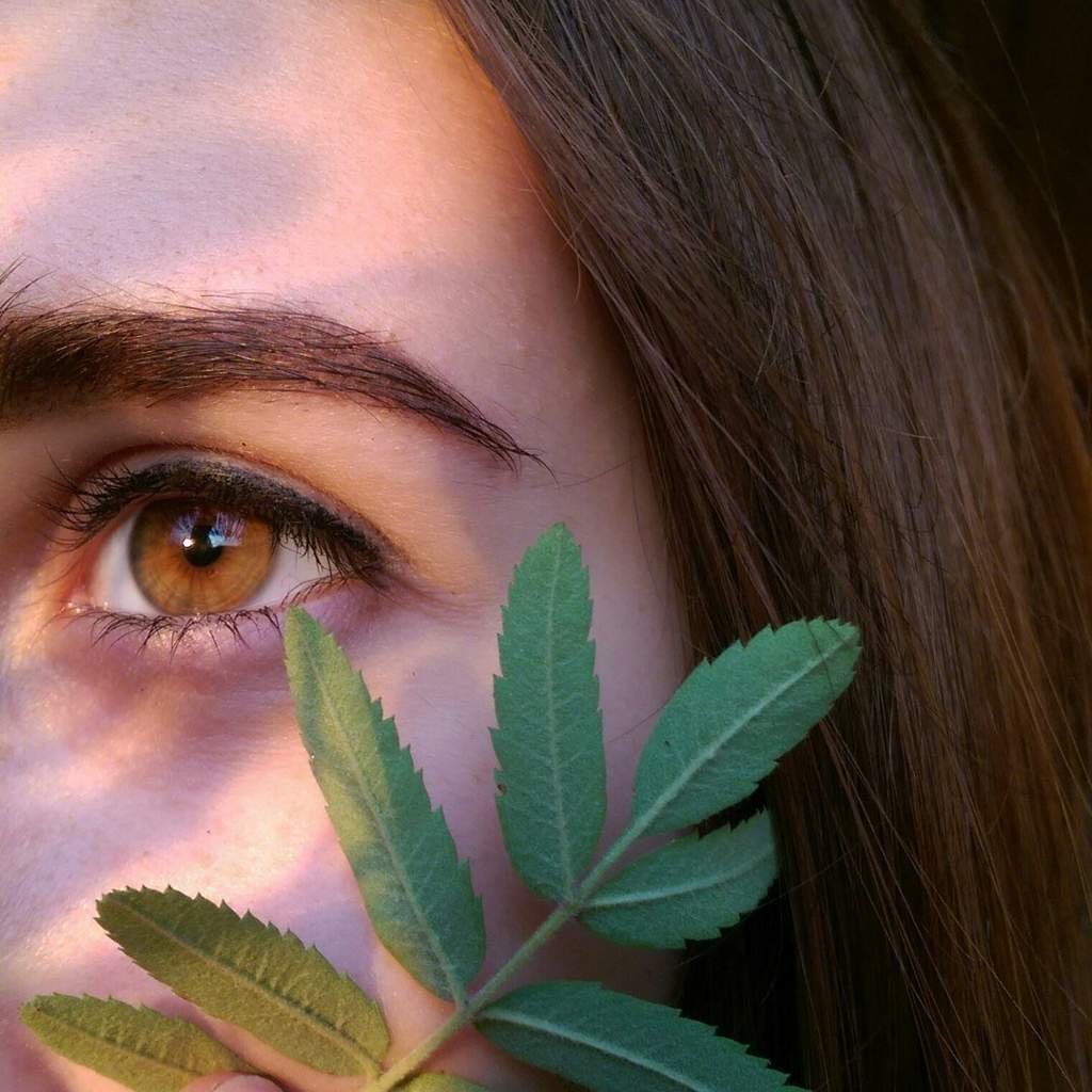 Топовые глаза