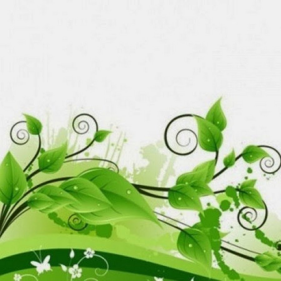 Зеленый узор