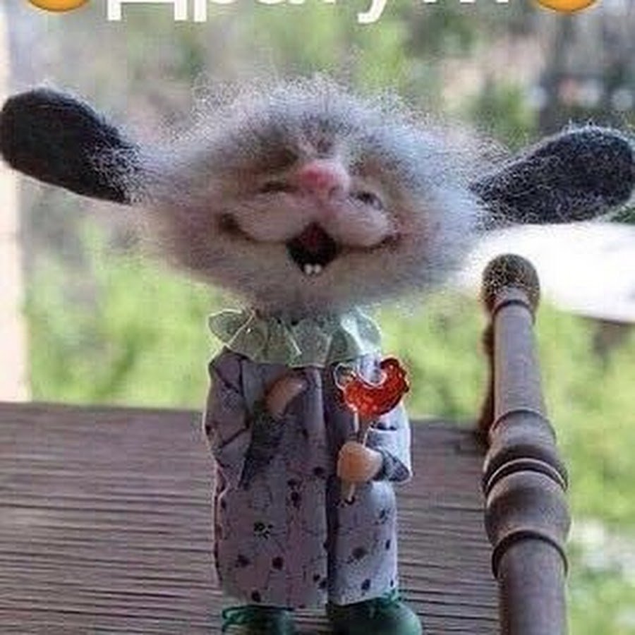 А вот и я картинки