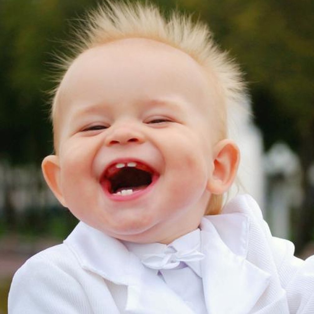 Шимпанзе улыбается фото