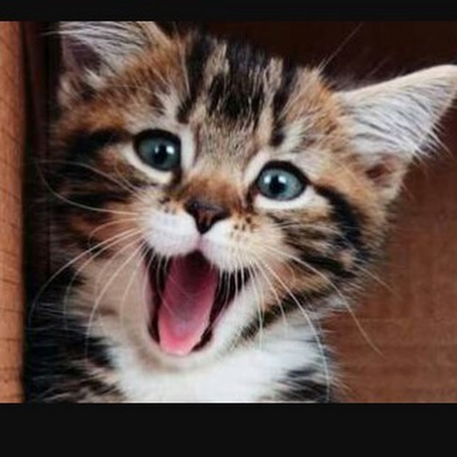 Просыпаемся улыбаемся с добрым утром