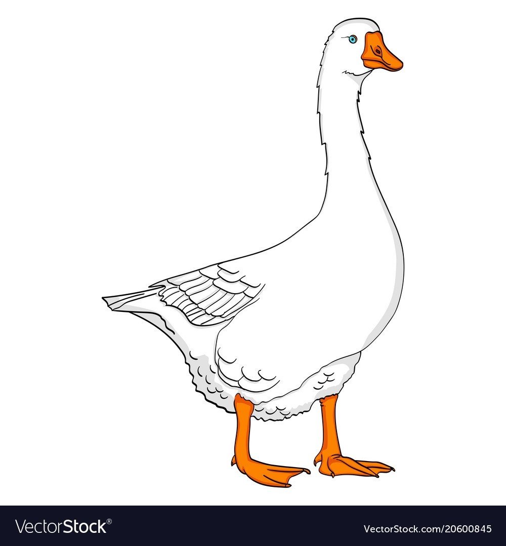 Гусь нарисованный