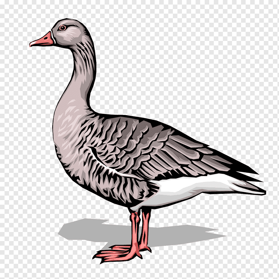 Гусь мультяшная