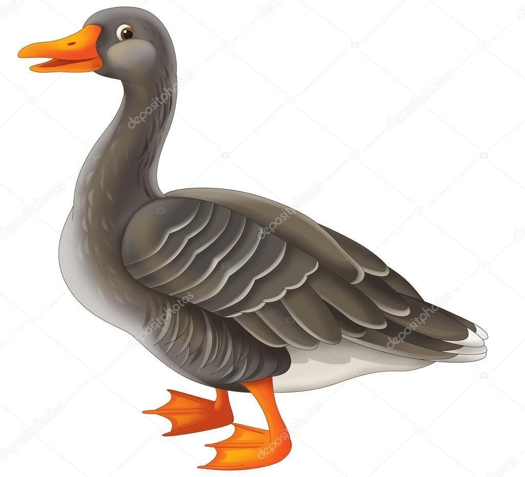 Отрисовка Гусь