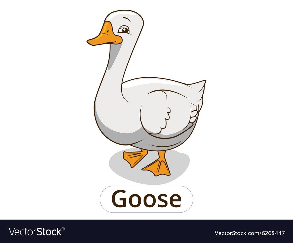 Goose Flashcard