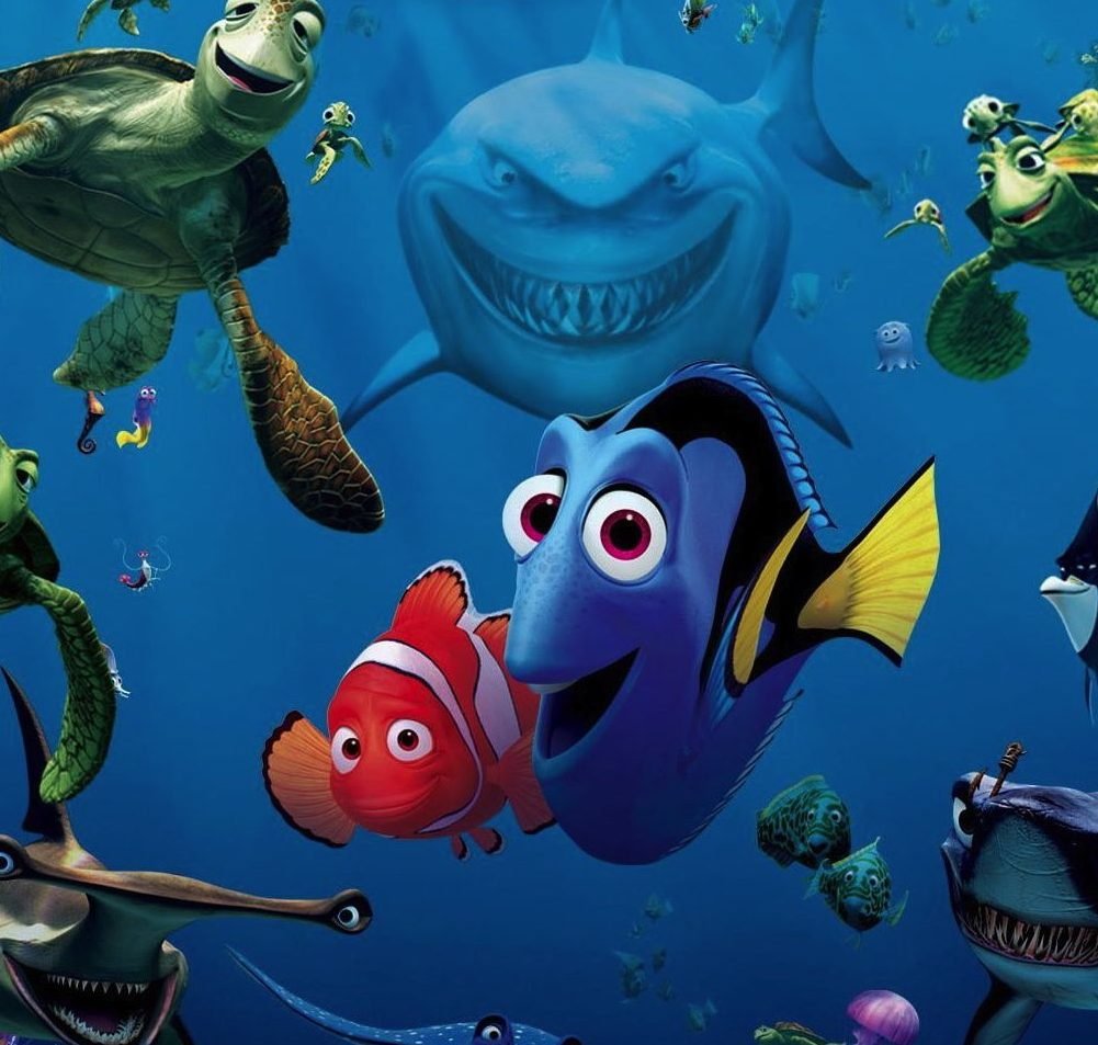 В поисках Немо Барракуда