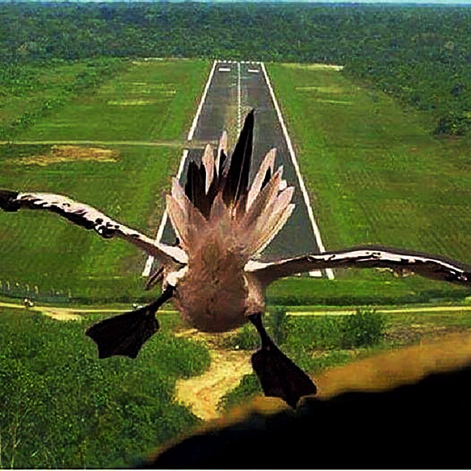 Хорошего полёта и мягкой посадки