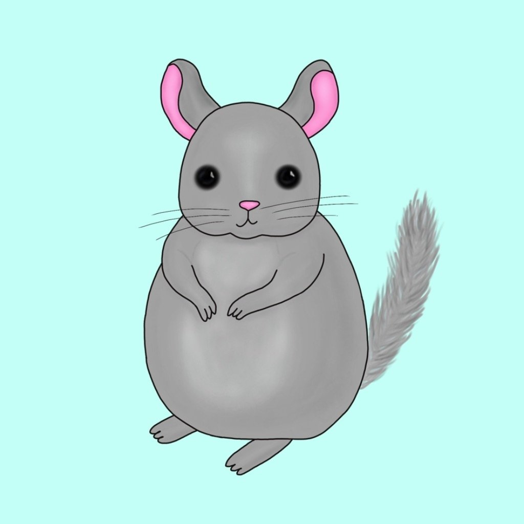 Мультяшные шиншиллы