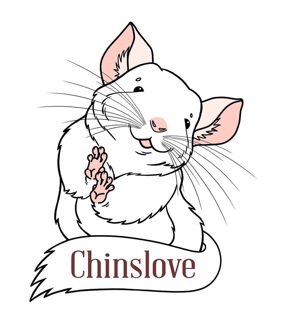 Шиншилла рисунок контур