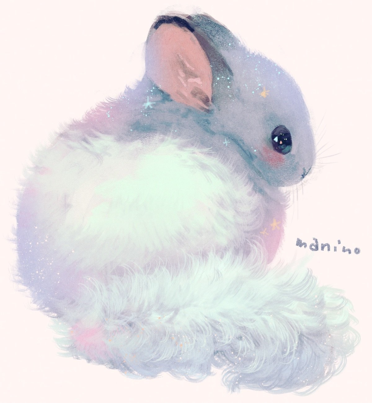 Шиншилла агути