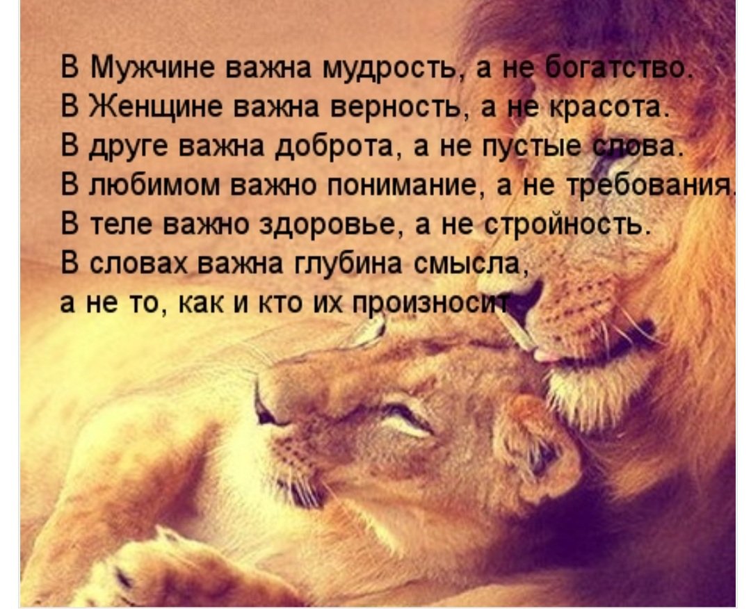 Мудрые слова про любовь