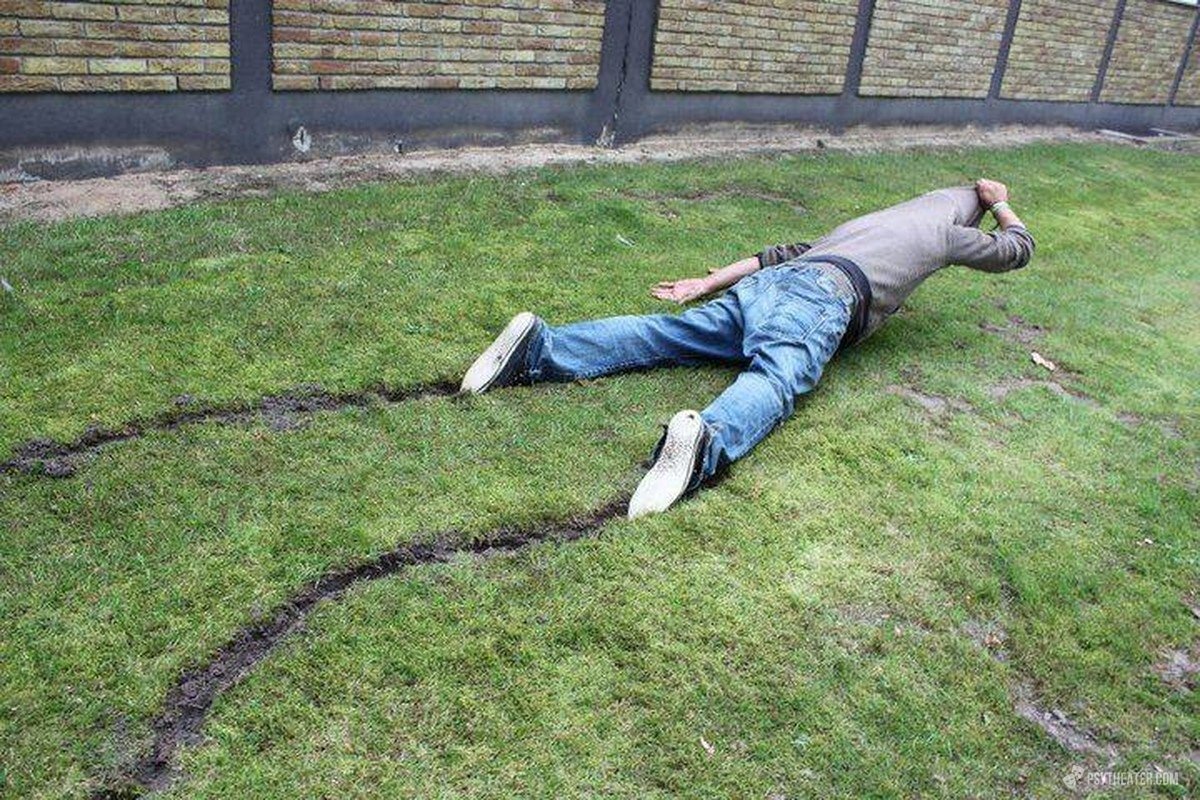 Кот несется