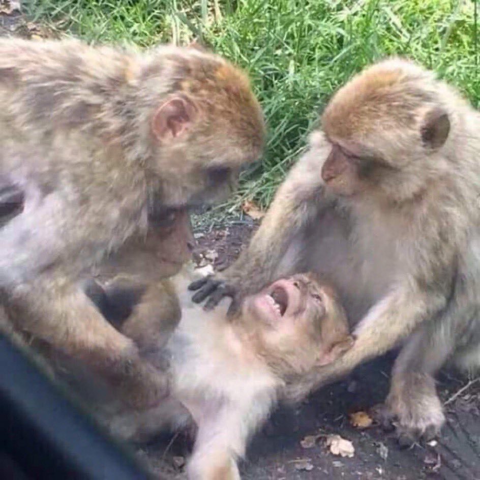 Открытка с первым рабочим днем