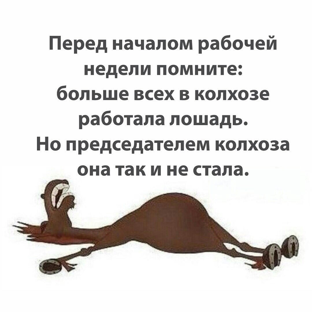 Комикс ди Каприо (остров проклятых)...