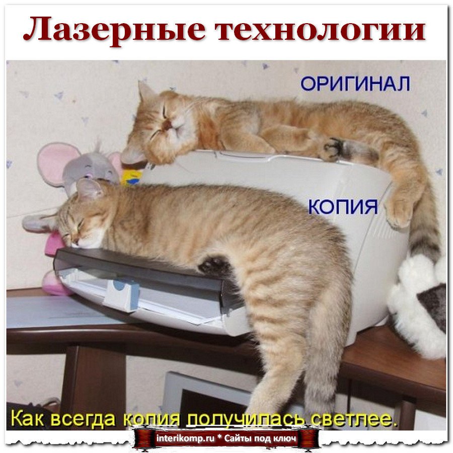 Смешные картинки с надписями