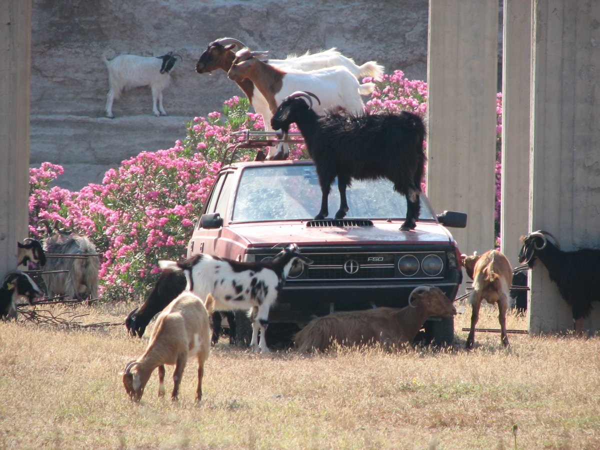 Приколы про деревню