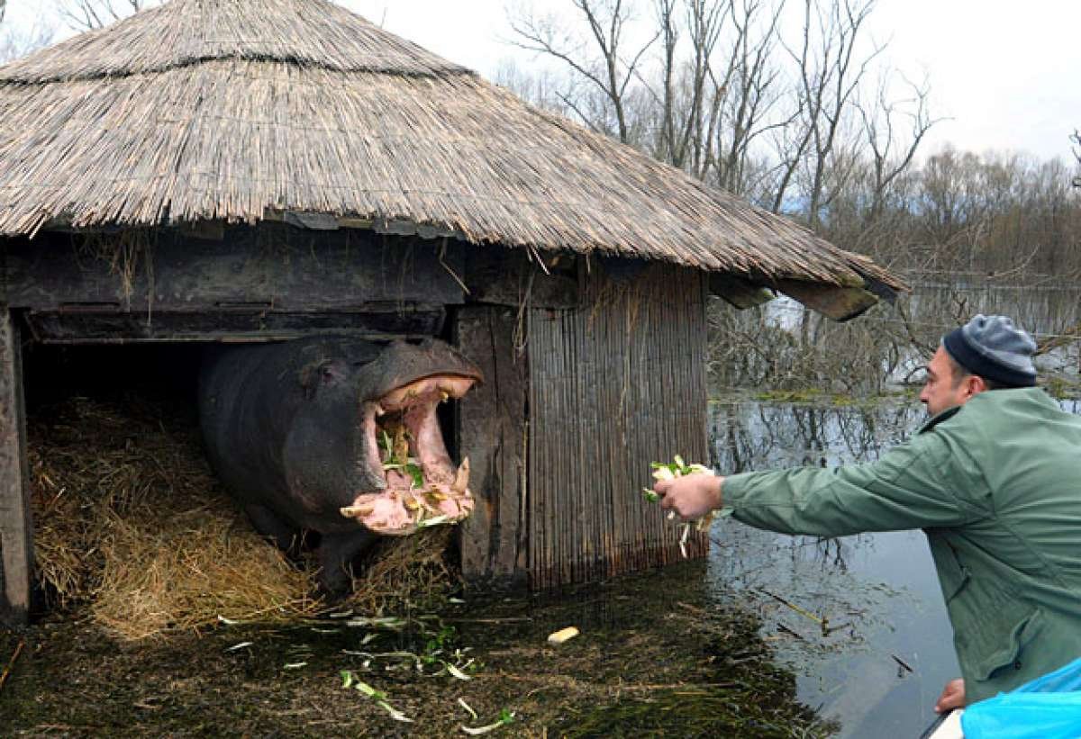 Прикольная деревня