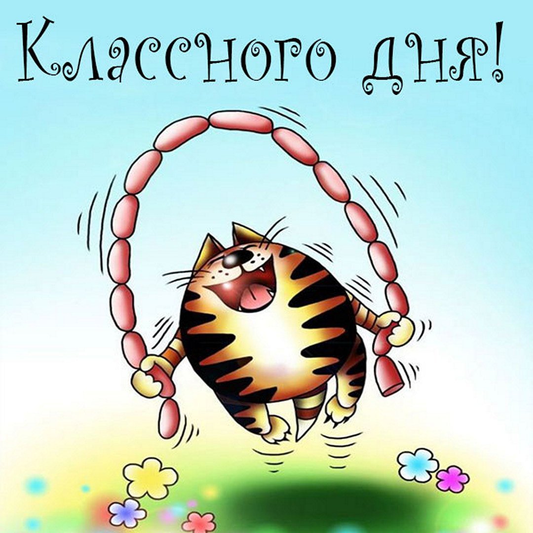 Здравствуй друг