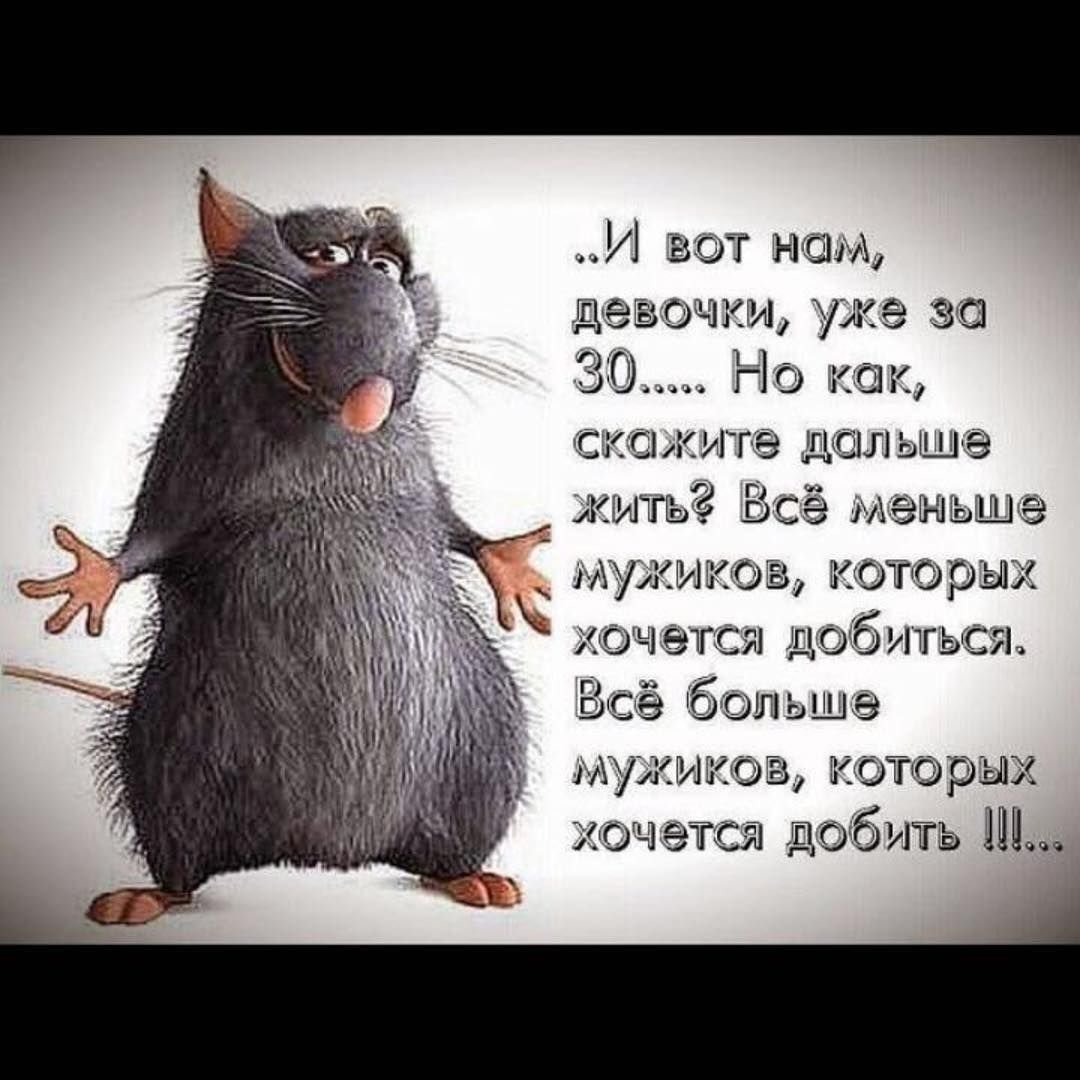 Юморные статусы