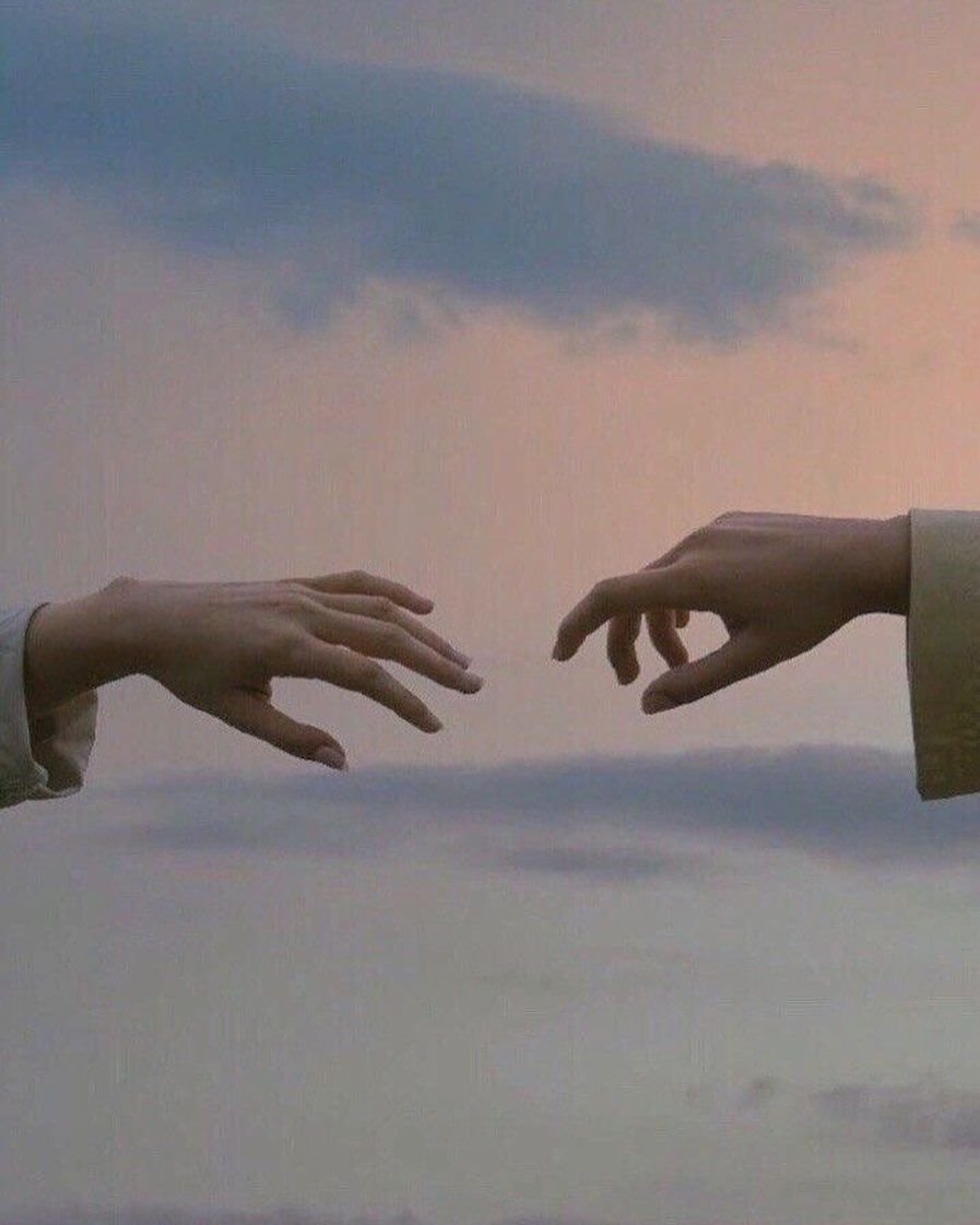 Птица улетает с руки