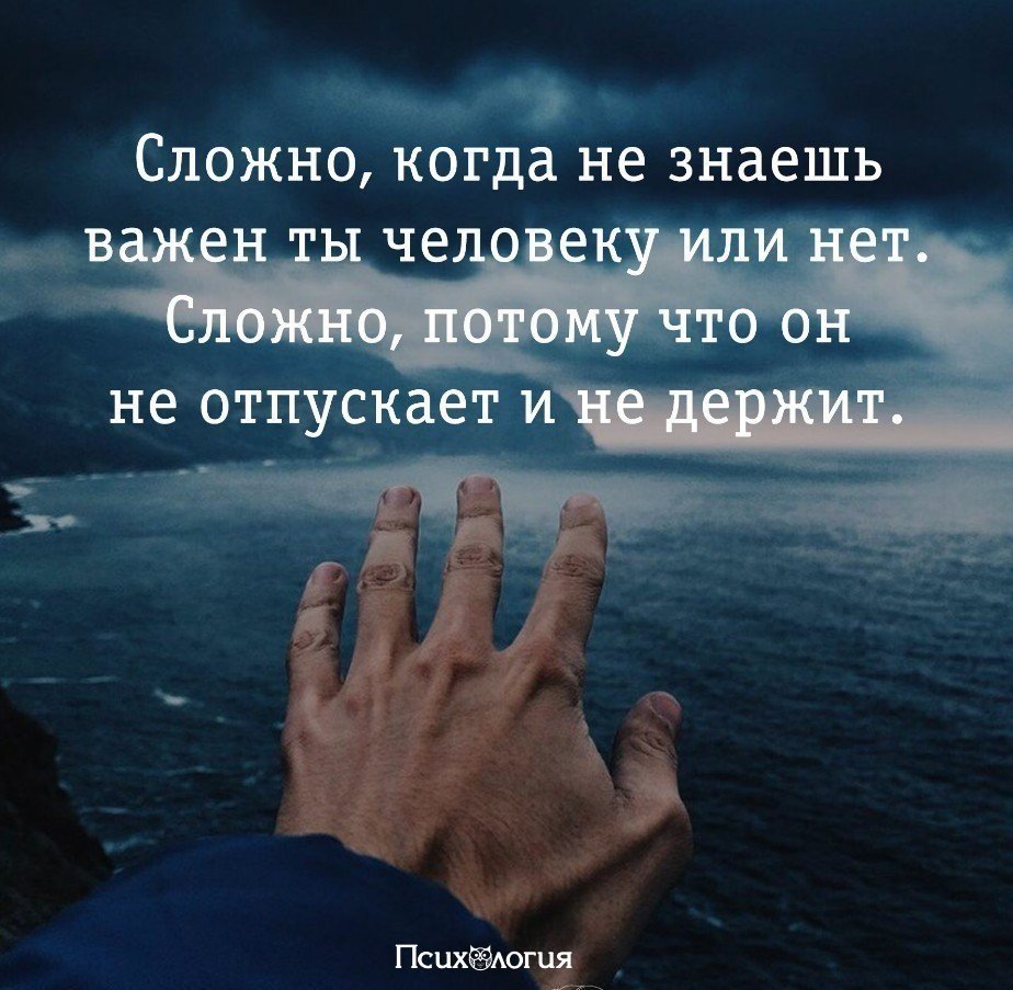 Отпустить птицу