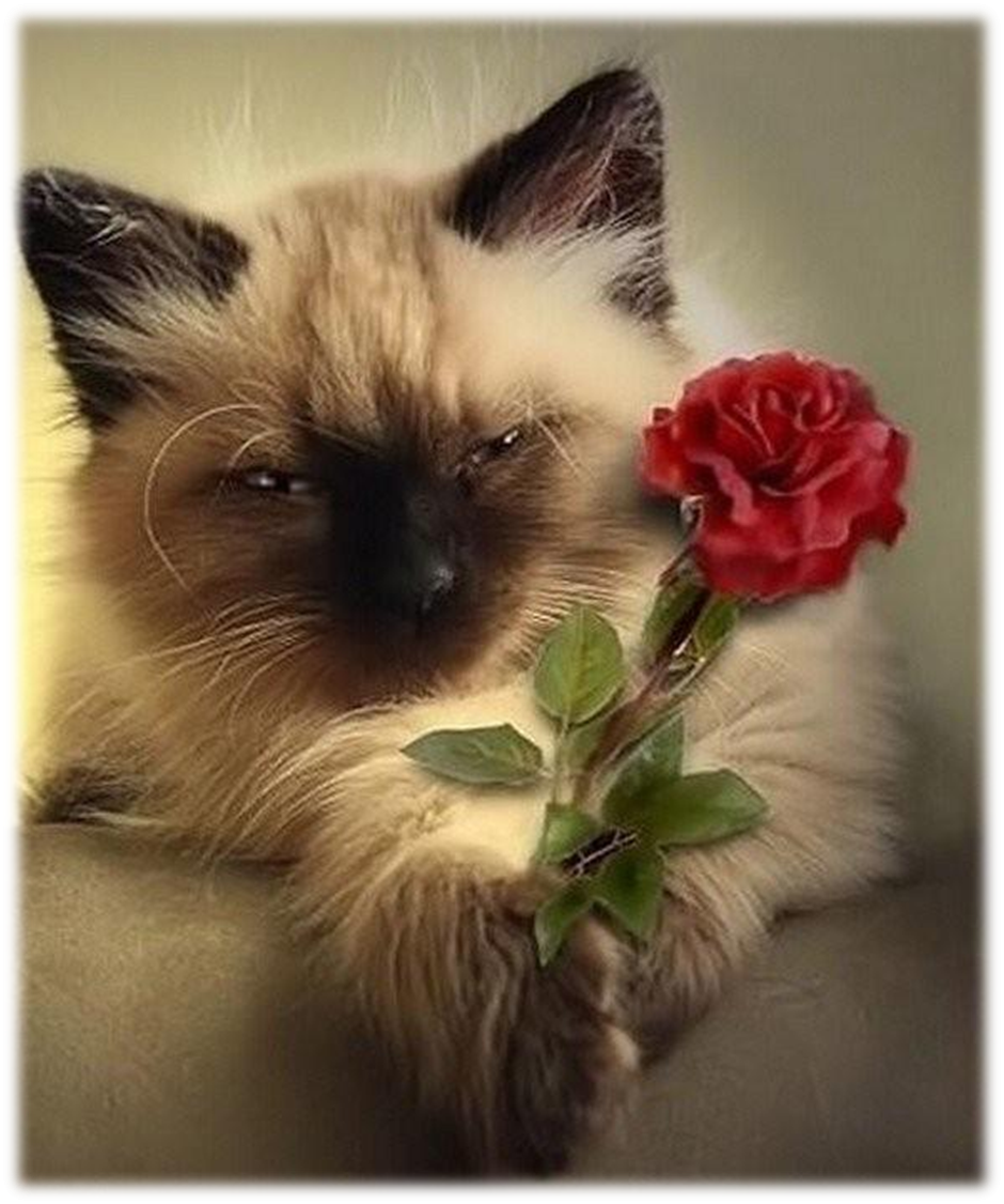 Открытки с пожеланием удачи