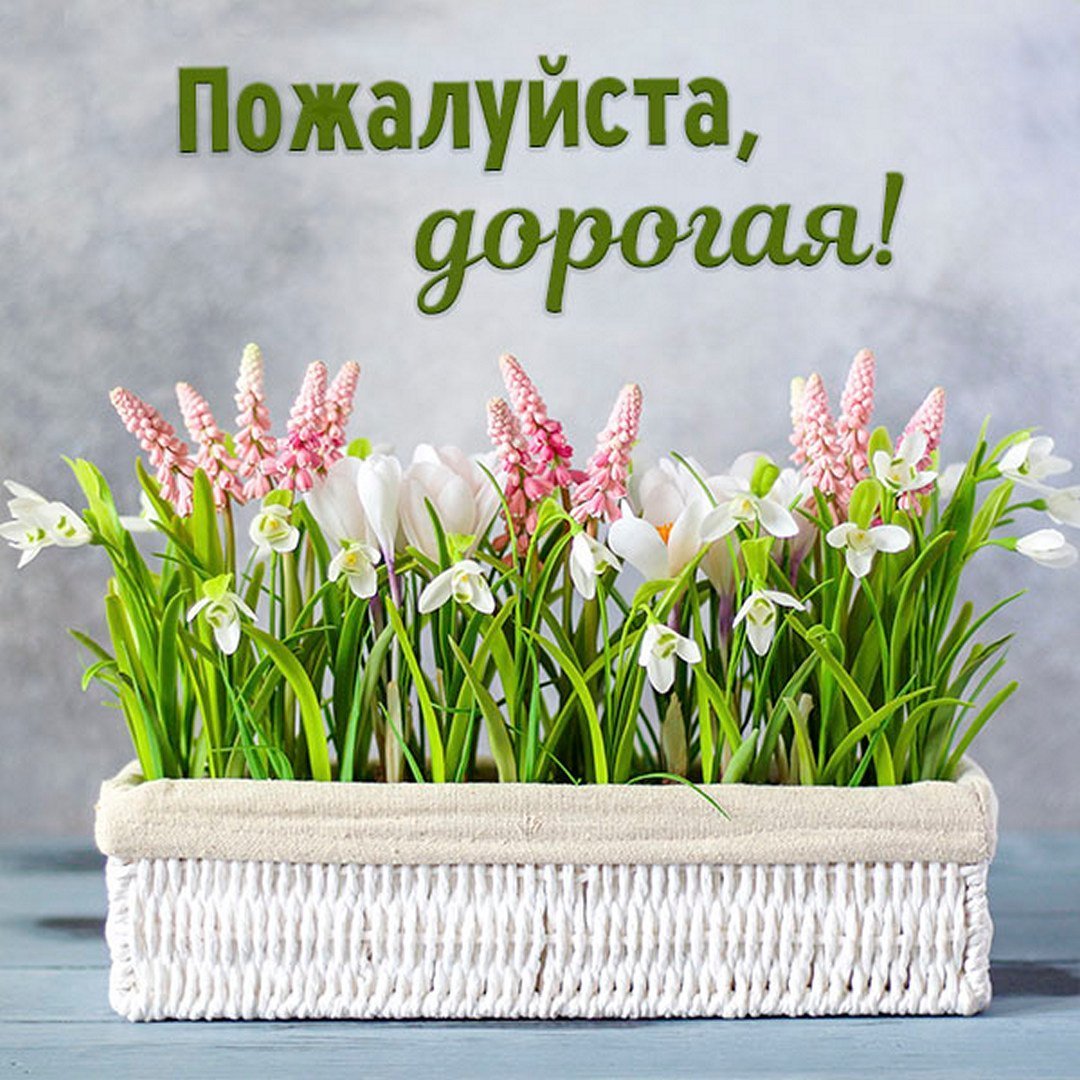 Открытка пожалуйста