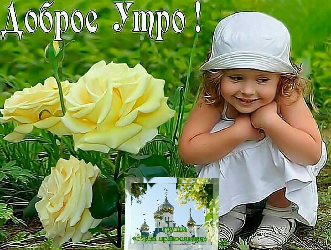 С днём женского счастья открытки