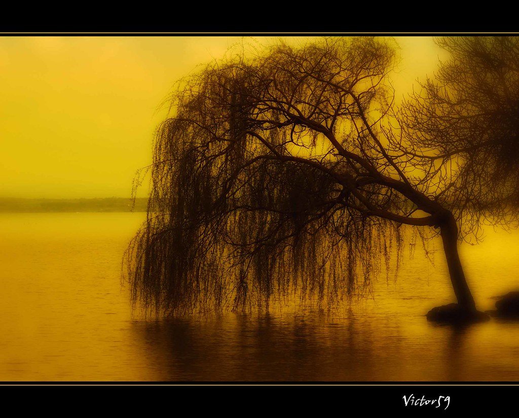 Ночь река Ива