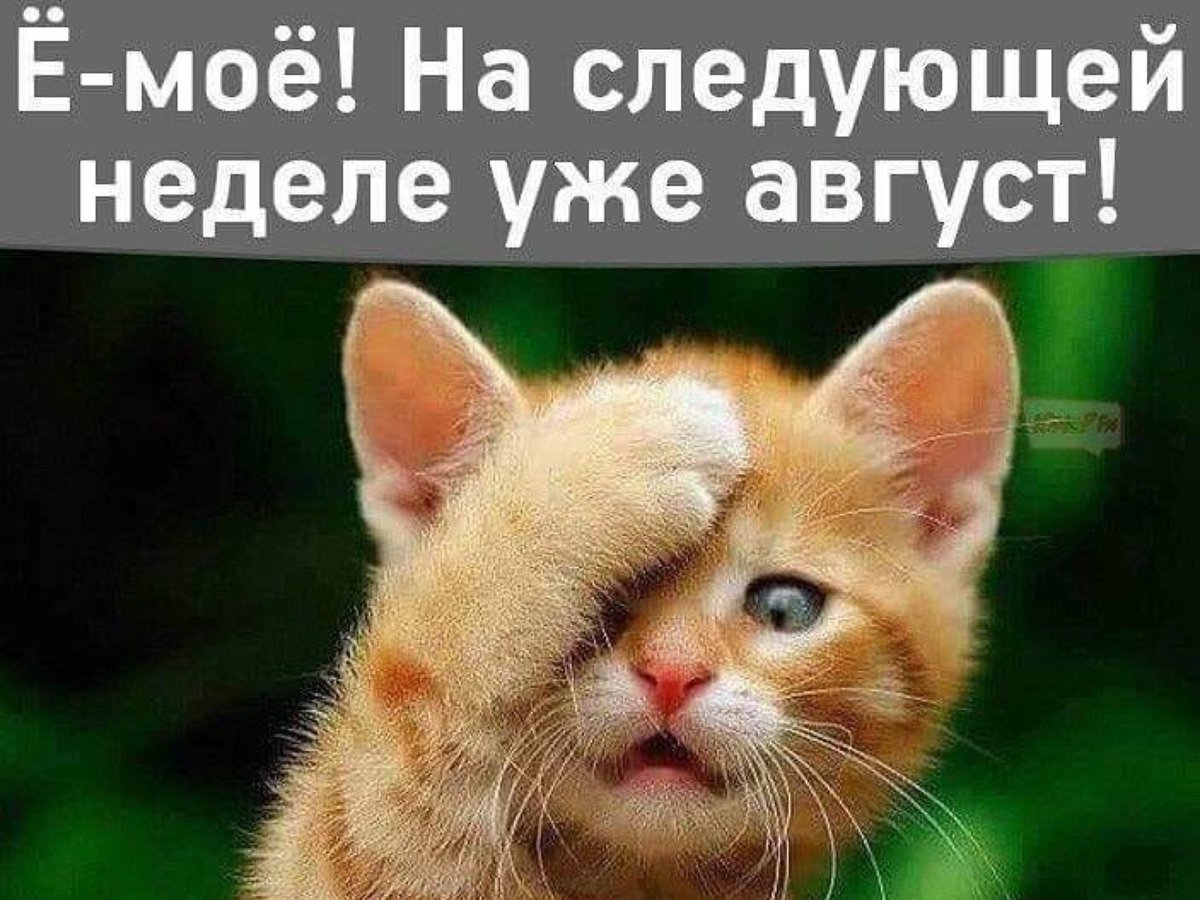 Лето закончилось