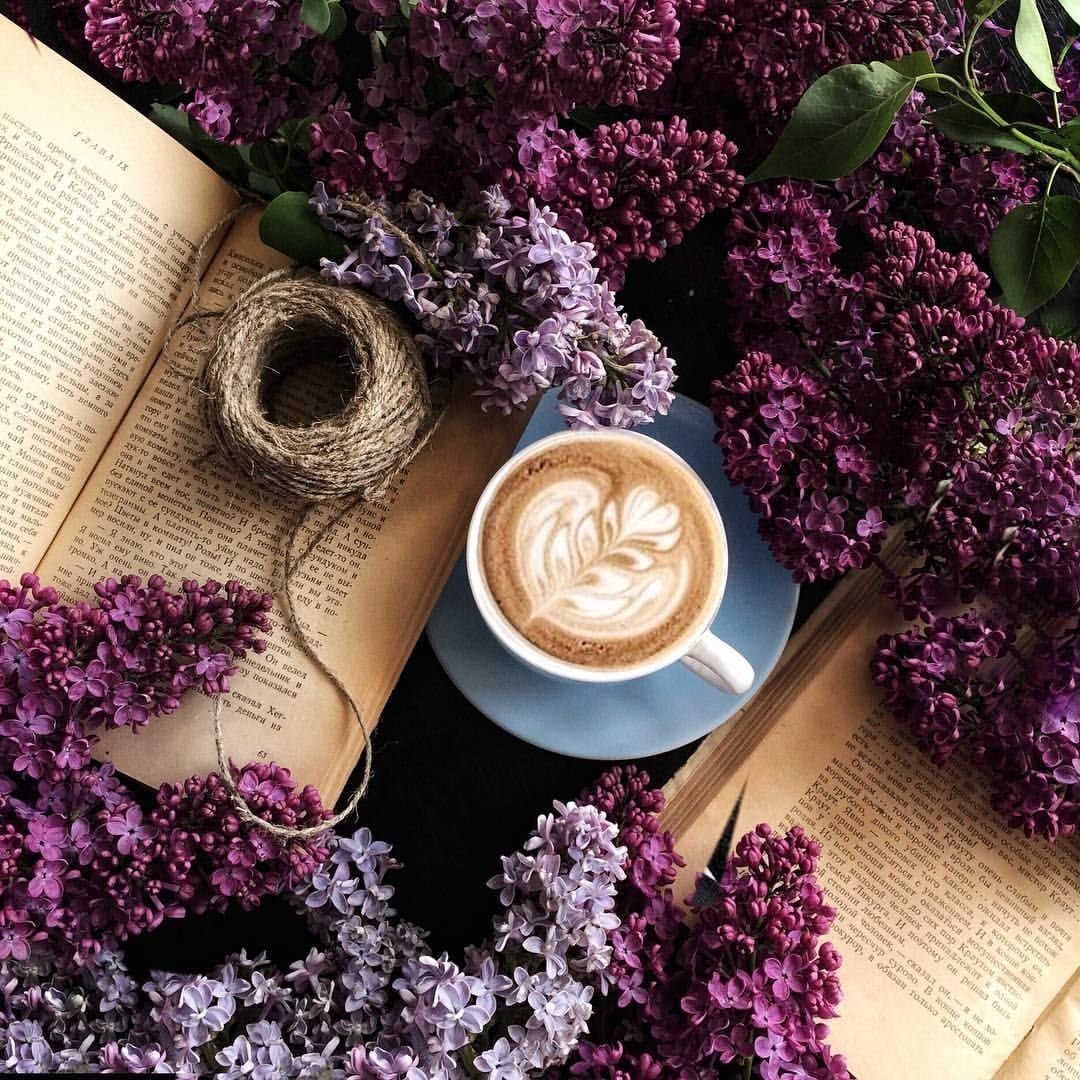 Фиолетовые цветы