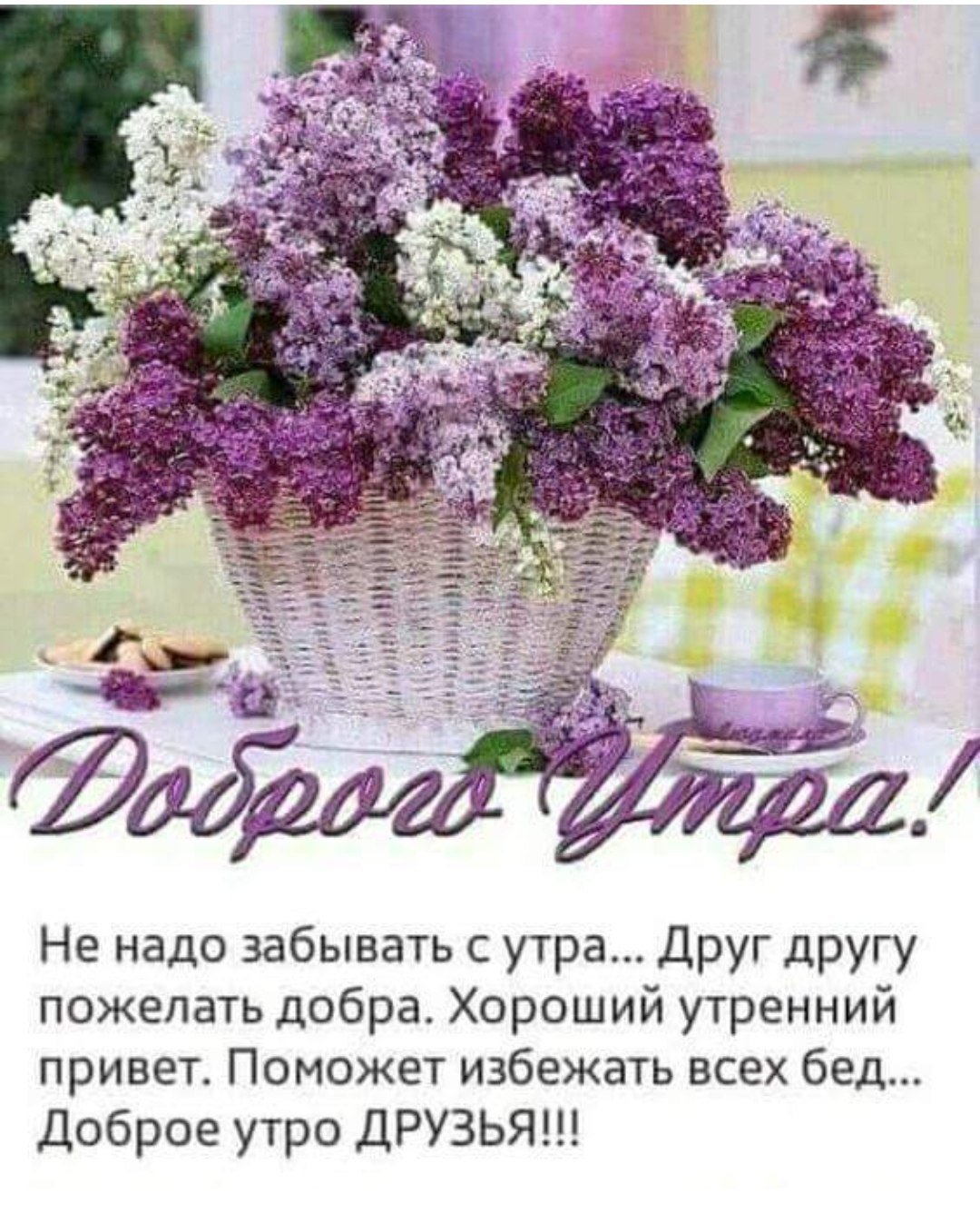 Доброе утро цветы