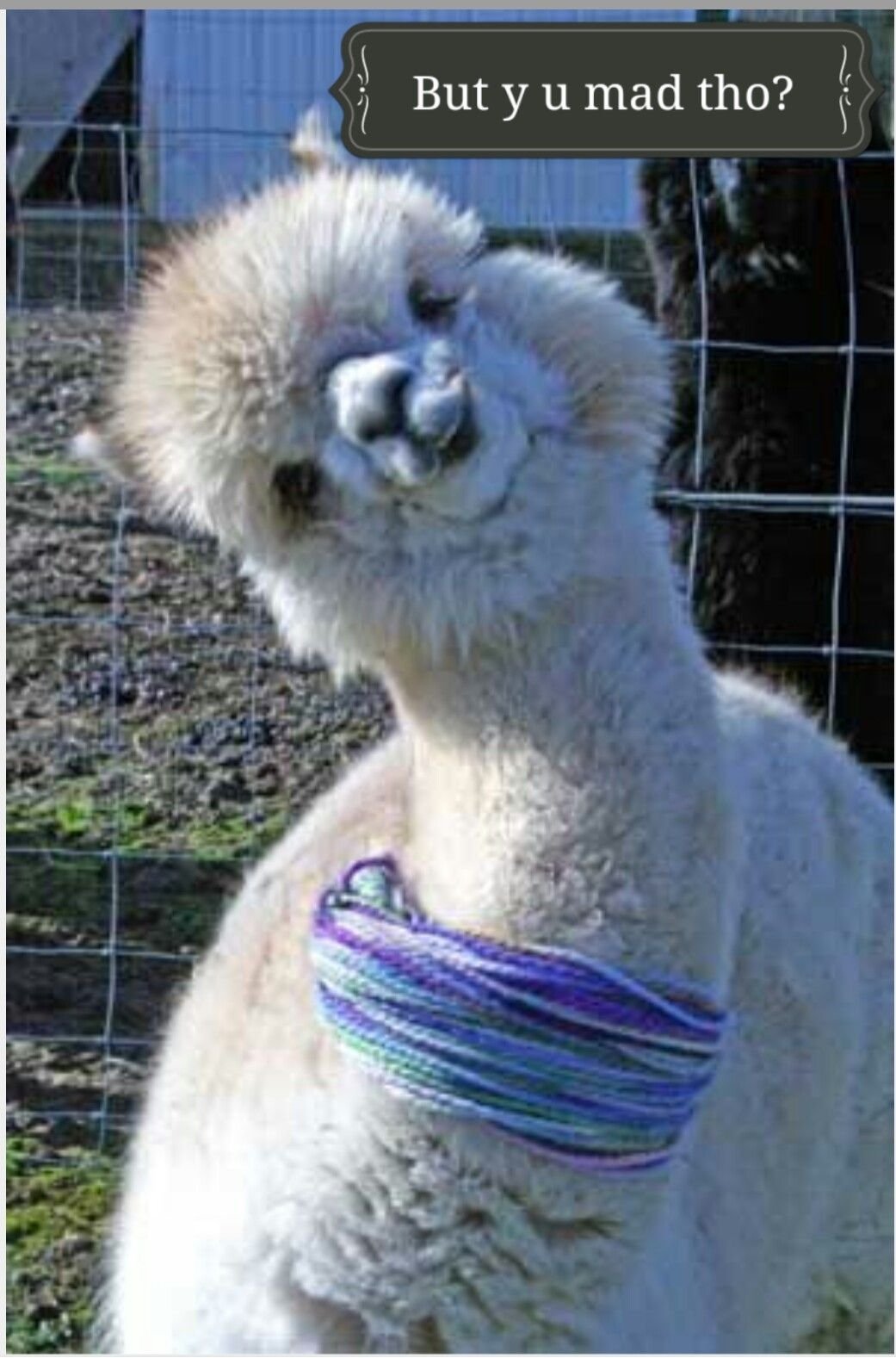 Эстетичные открытки с днем рождения