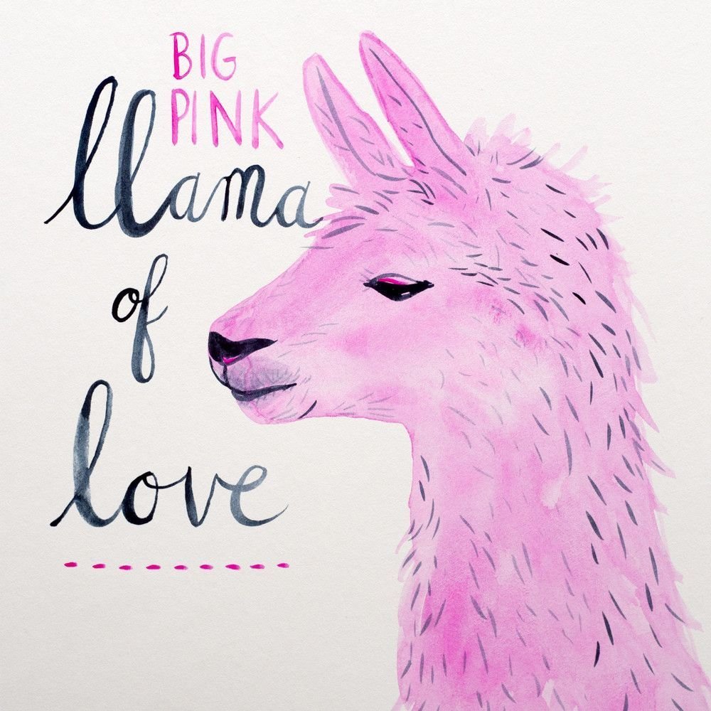 Ламы из пинтереста