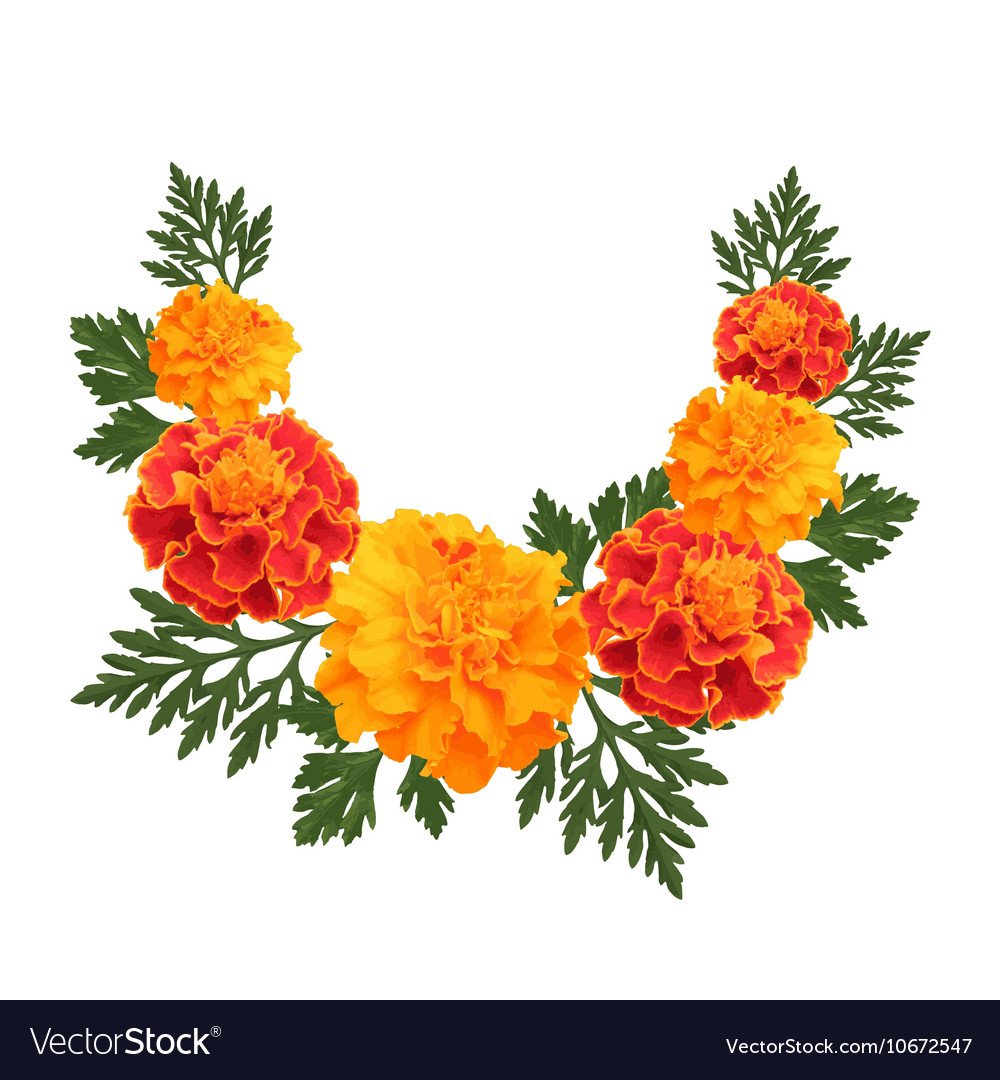 Стилизация бархатцы