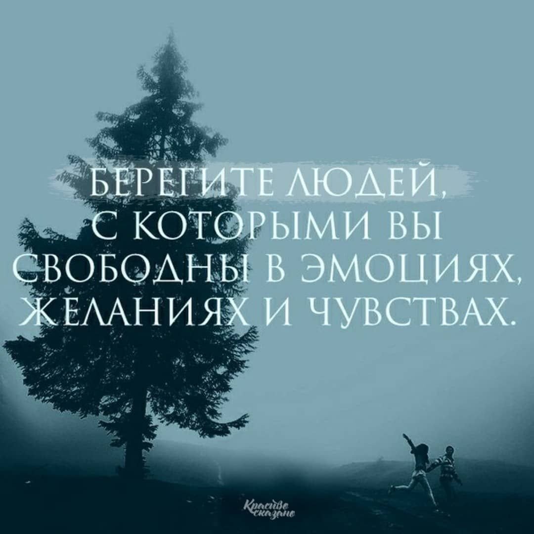 Высказывания о чувствах и эмоциях