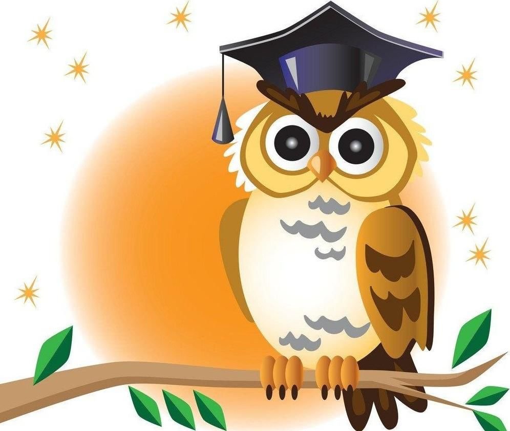 Сова учитель рисунок