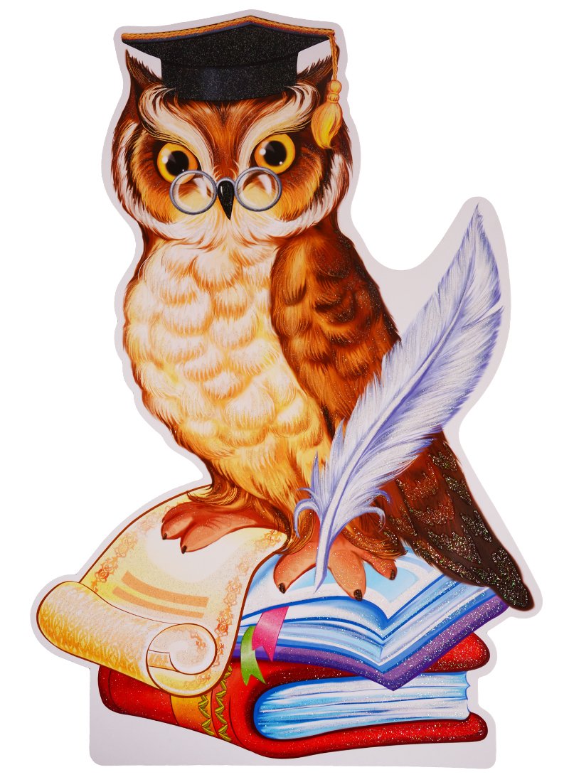 Сова с книгой