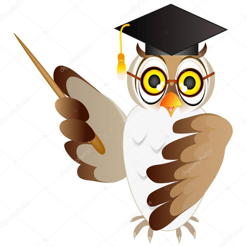 Сова учитель с указкой