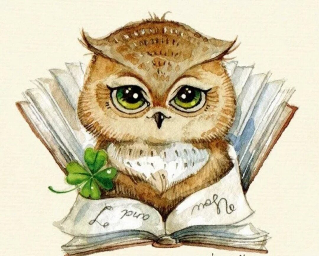 Сова с книжкой