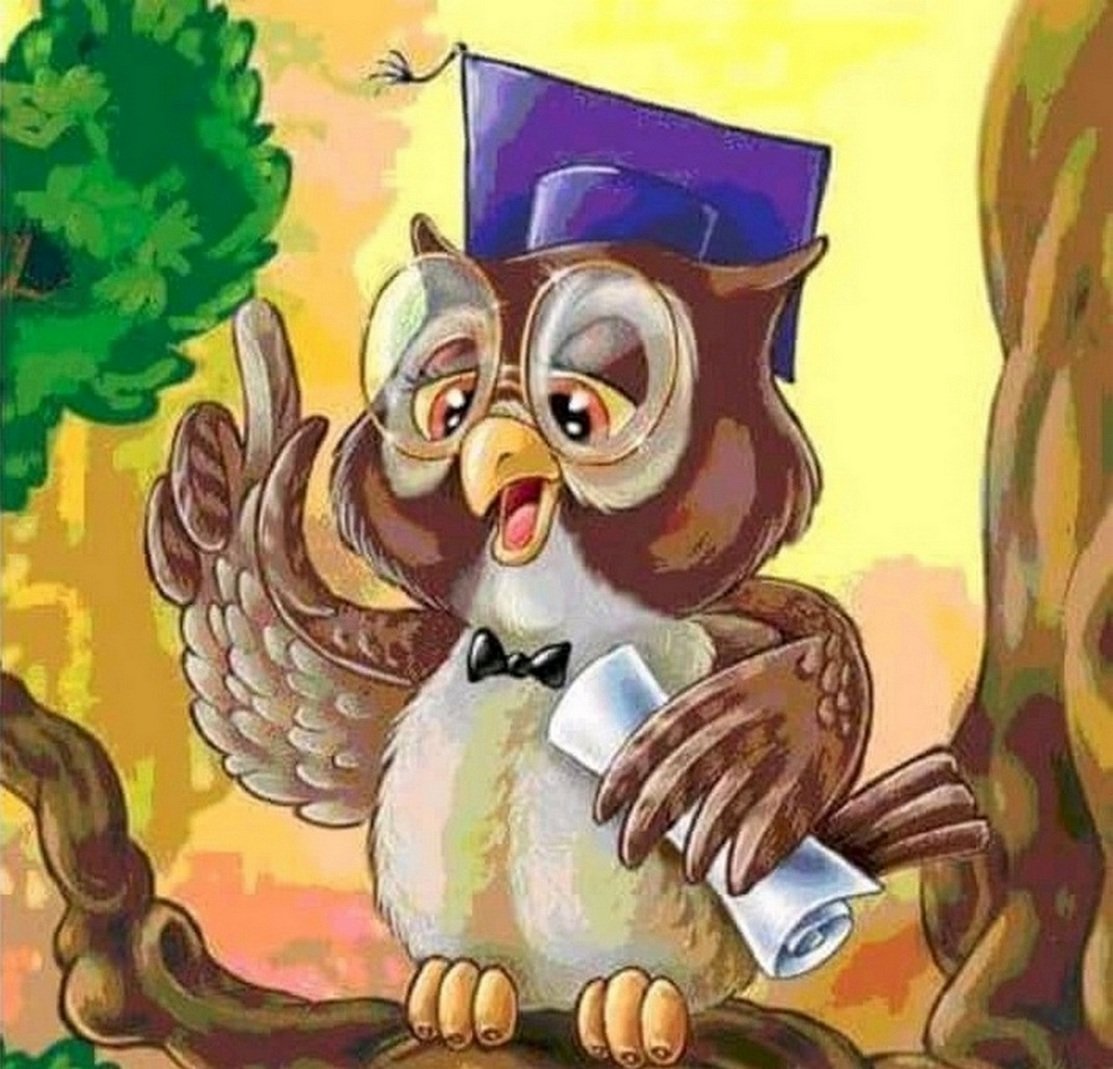 Сова с указкой