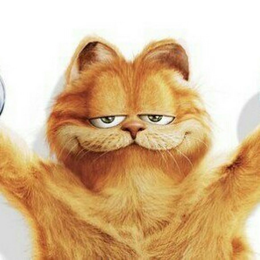 Гарфилд в очках