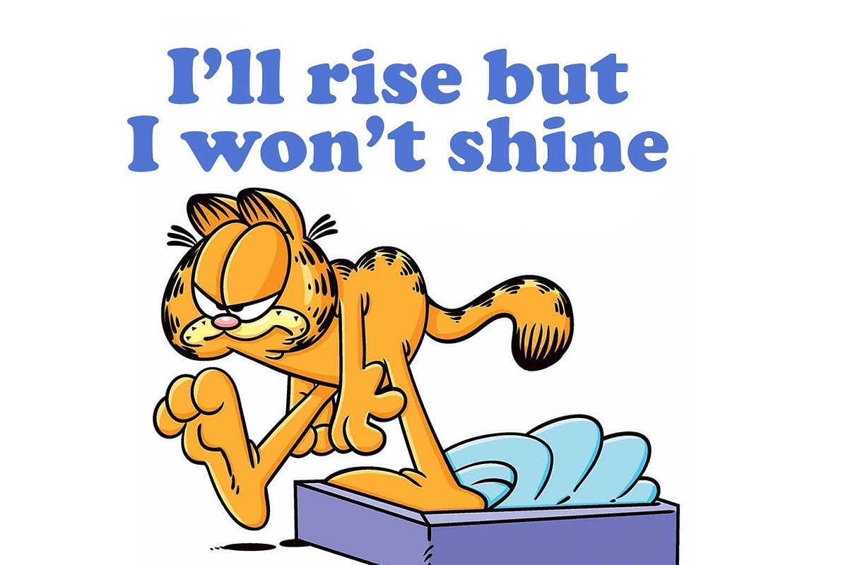 Гарфилд фон