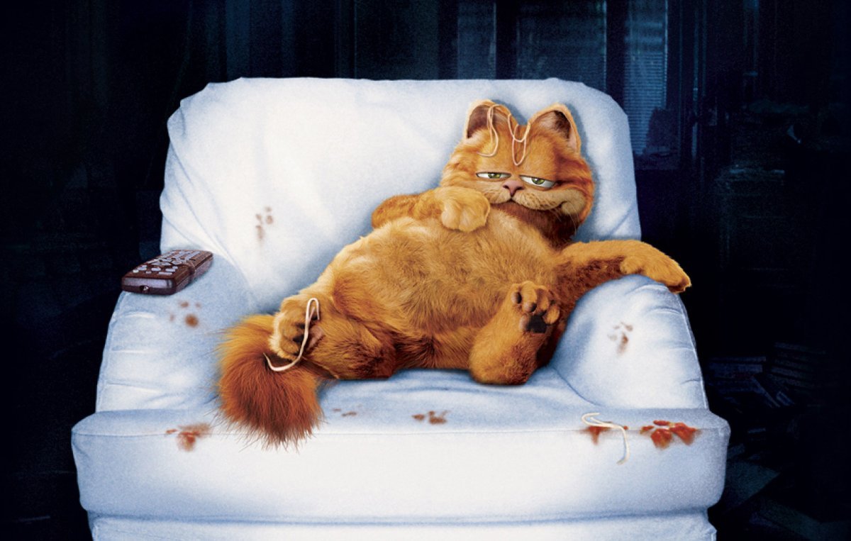 Смешные заставки