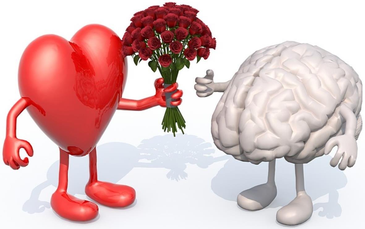 Сердце и разум