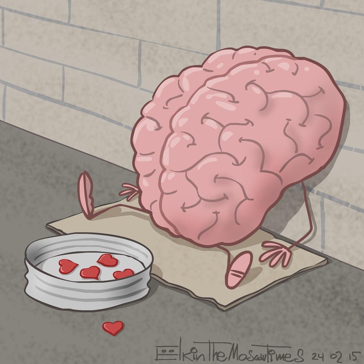 Мозг и сердце