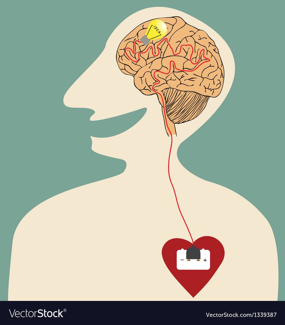 Мозг или сердце