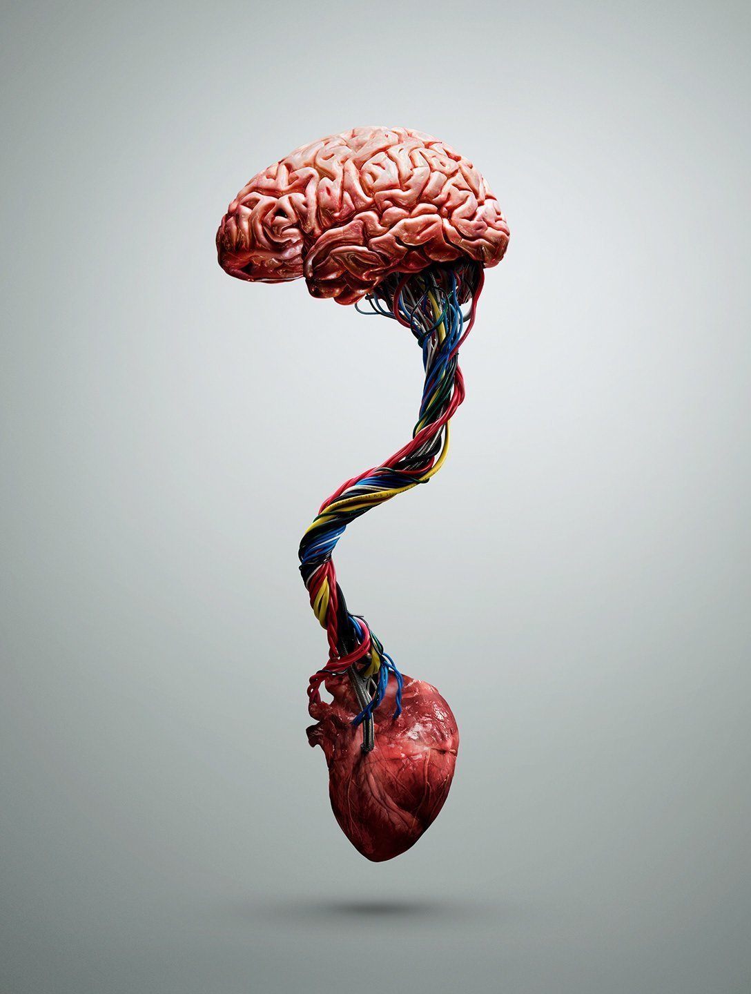 Креативный мозг