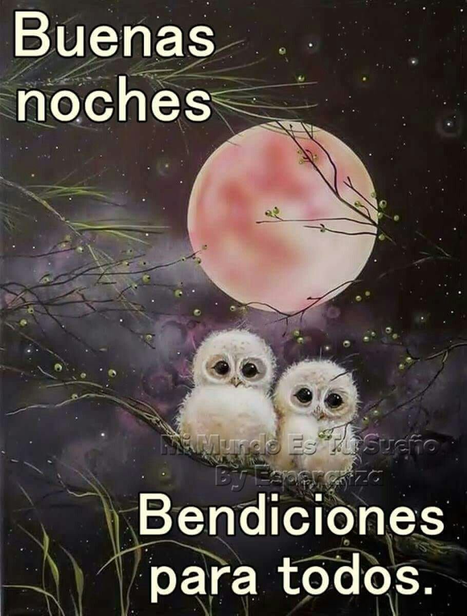Спокойной ночи Сова