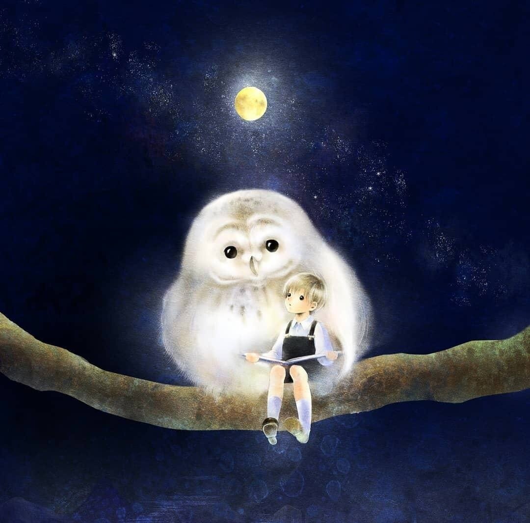 Ночные милые птички